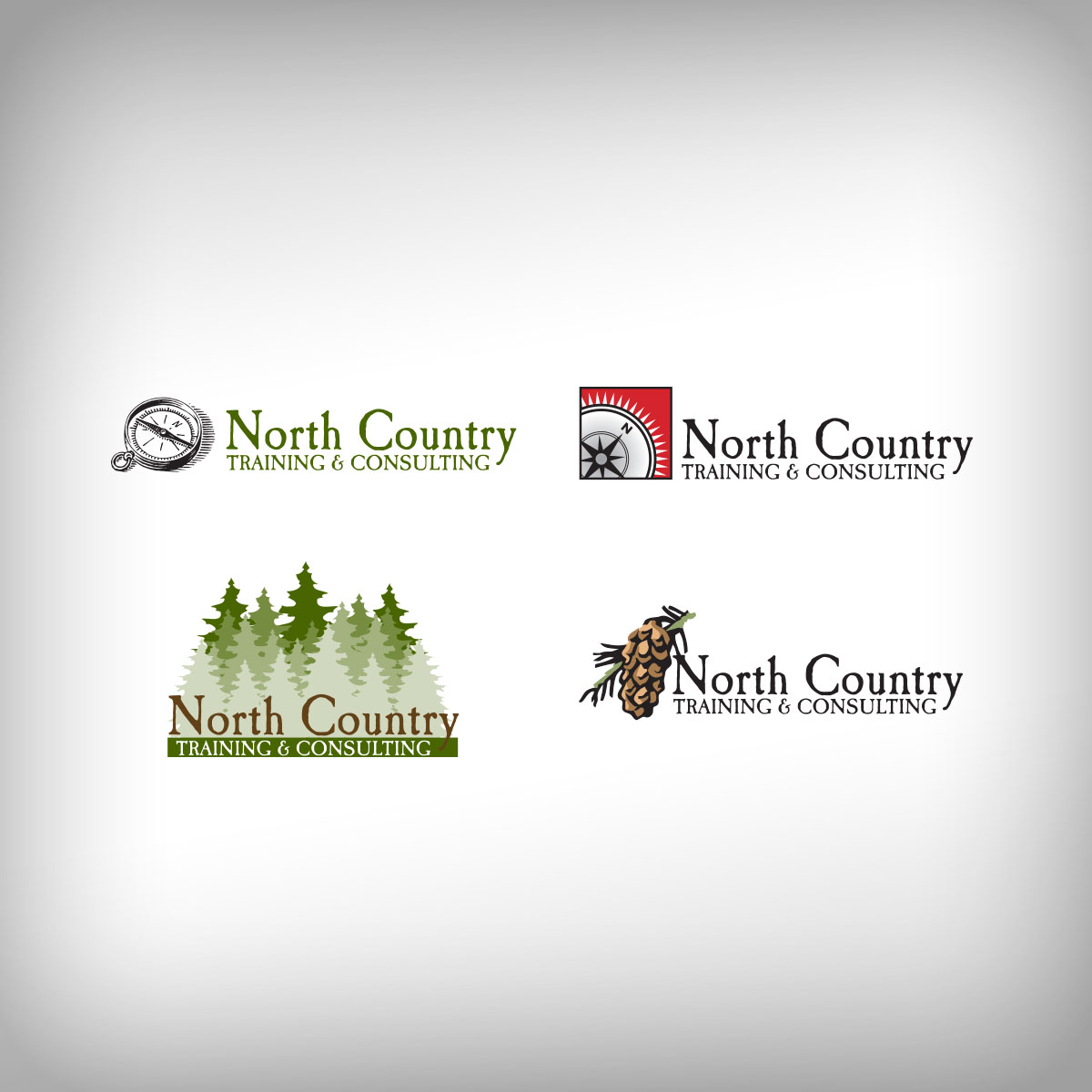 North Country Logo Ideas