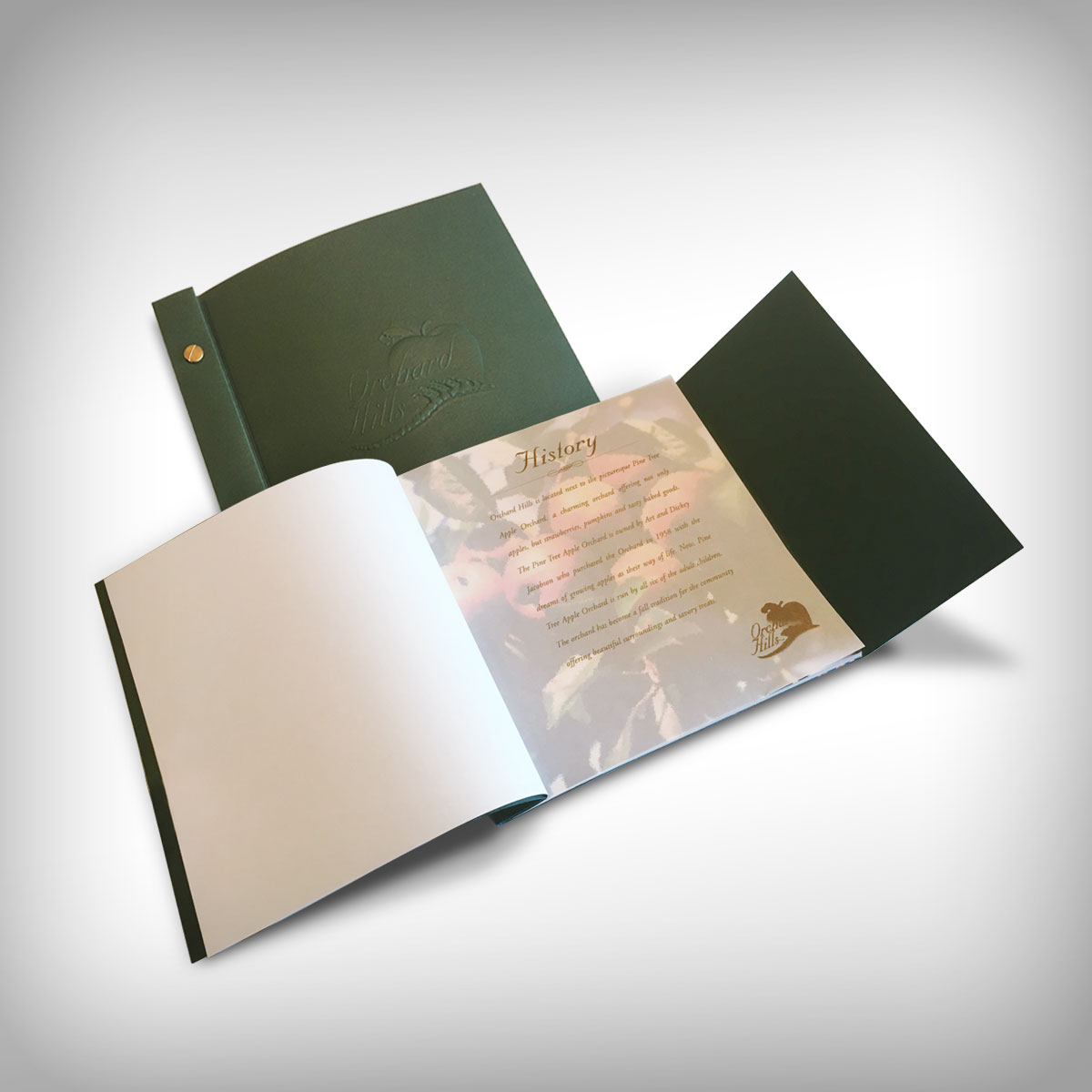 Orchard Hills Marketing Booklet